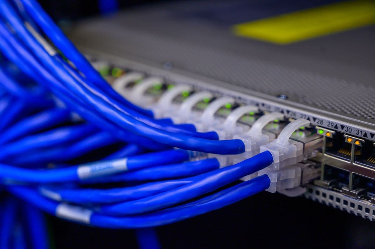 Ethernet cables connected to a managed network switch